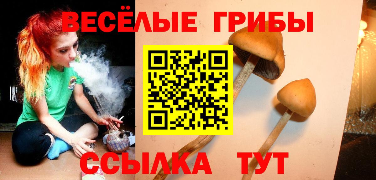 Галлюциногенные грибы Magic Shrooms Ульяновск
