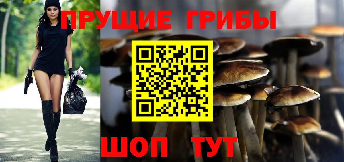 Галлюциногенные грибы Psilocybe  Вход с VPN  как найти закладки  Ульяновск  Галлюциногенные грибы Psilocybine cubensis 